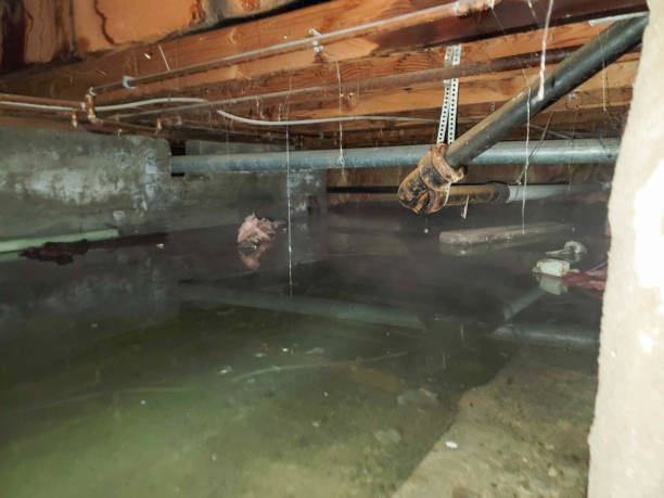 Best Water damage cleanup near me  in Cvallis, OR