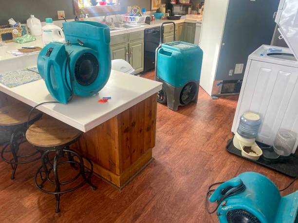 Best Mold removal after water damage  in Cvallis, OR