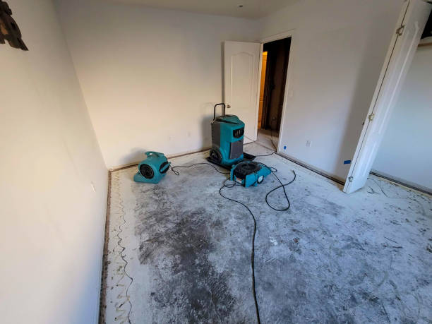 Best Local water damage restoration  in Cvallis, OR
