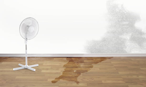Best Water damage restoration near me  in Cvallis, OR