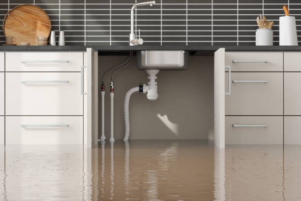 Best Carpet water damage restoration  in Cvallis, OR