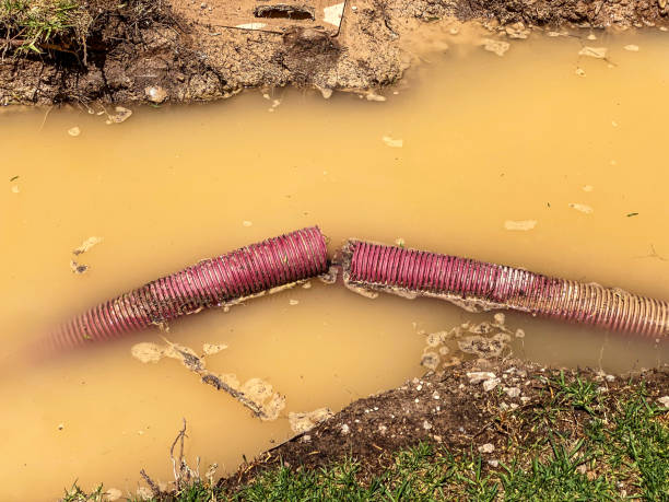 Best Water damage restoration services  in Cvallis, OR